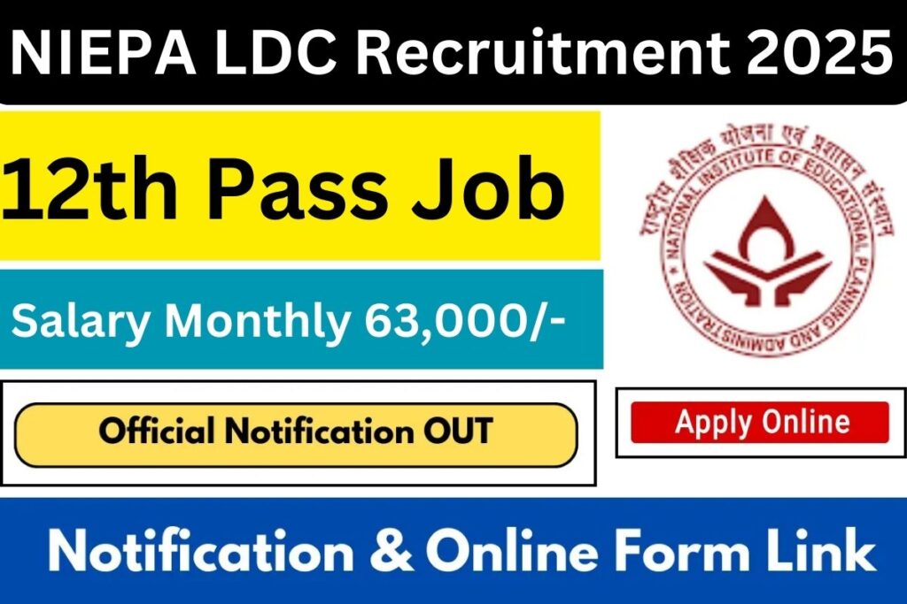 NIEPA LDC Recruitment 2025