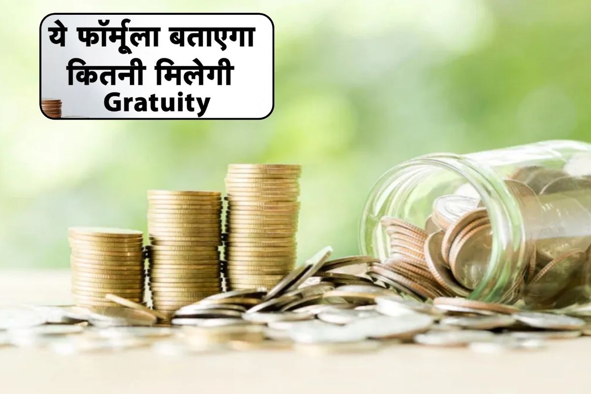 Gratuity Calculator