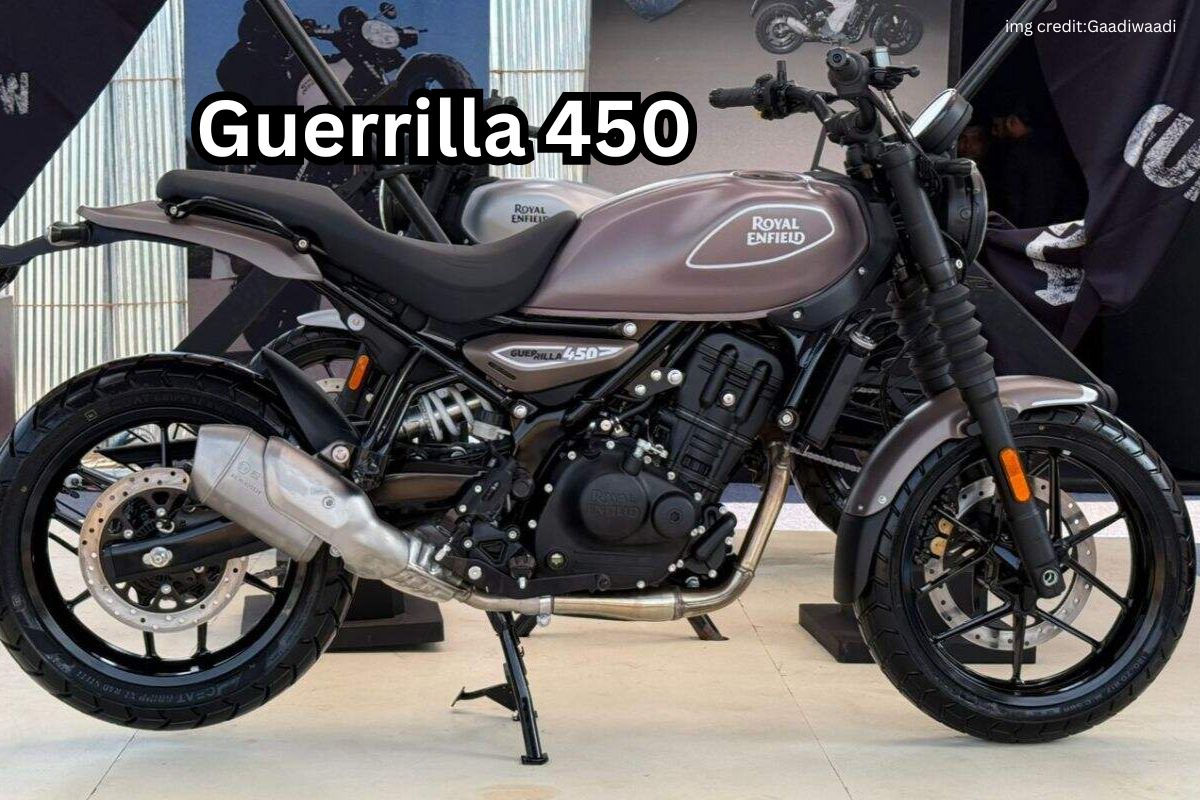 Guerrilla 450 (2)
