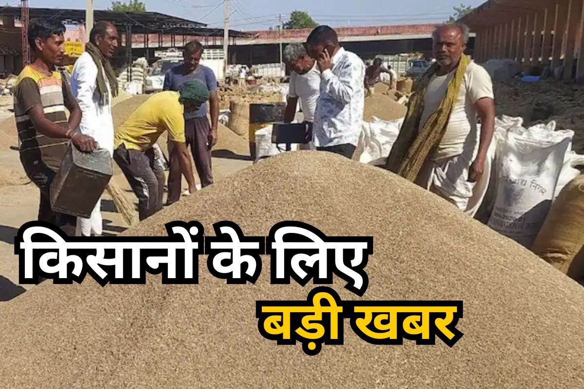 Rajasthan MSP Kharid