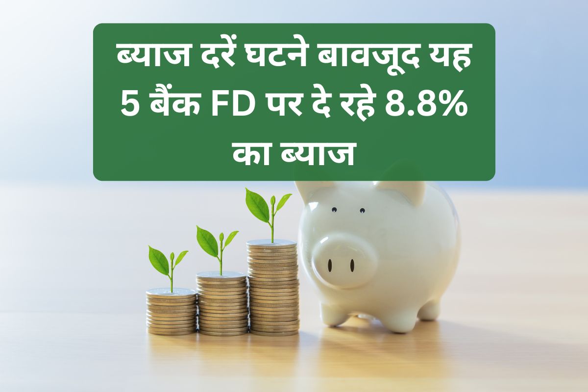 High Interest FD