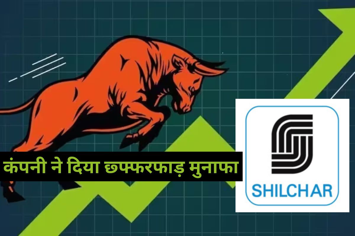 Multibagger stock