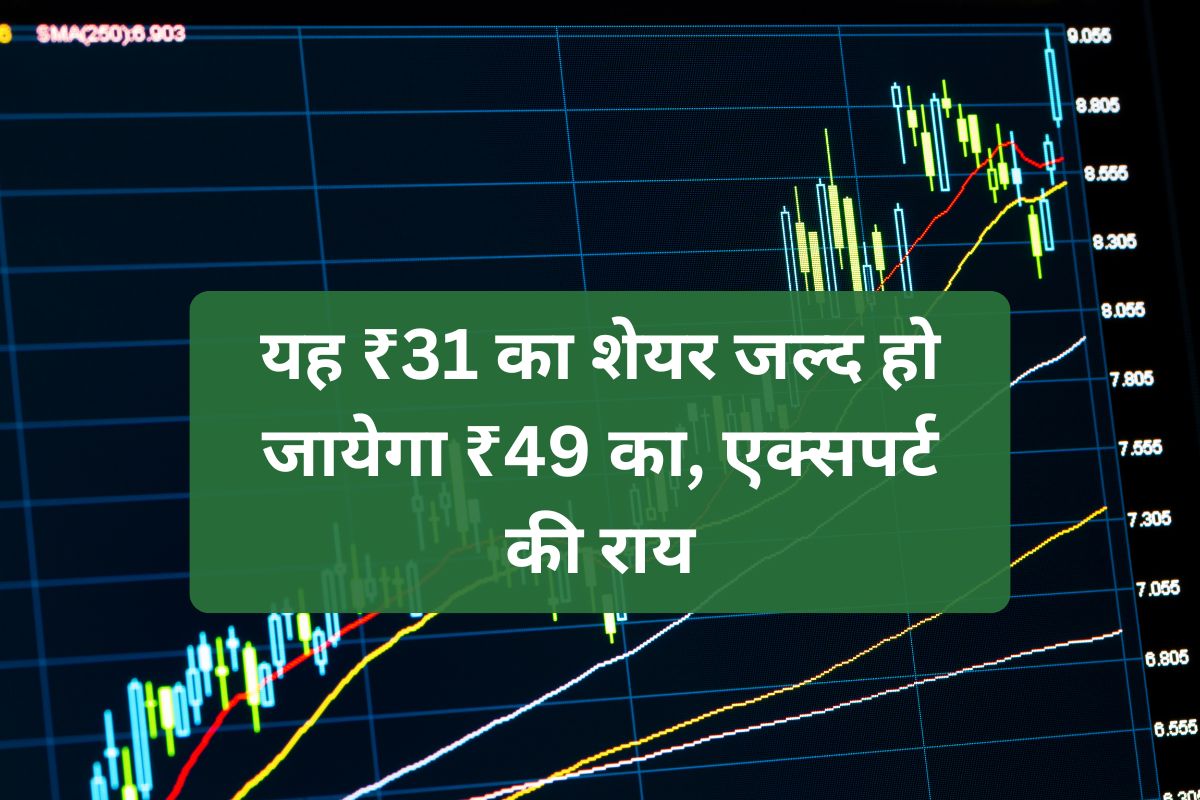 Penny Stock - Mirza International