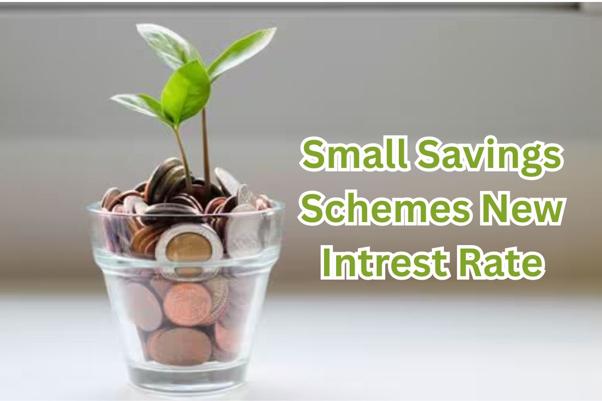 Small Savings Schemes